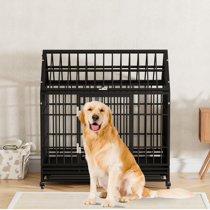 Dog crate with new arrivals slide out tray
